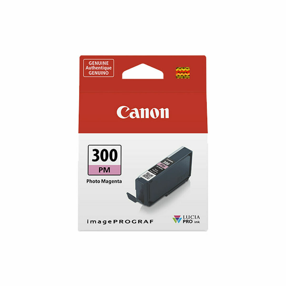 Original Ink Cartridge Canon 300PM - aGadgetWin.com